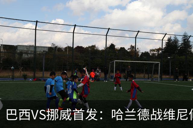 巴西VS挪威首发：哈兰德战维尼修斯 厄德高PK马丁内利